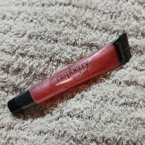Philosophy Raspberry Sorbet High Gloss Lip Shine New Sealed .4 fl oz High Flavor